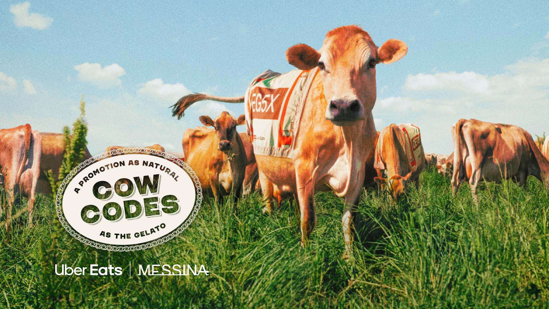 Udderly awesome discounts - Messina’s Cow Codes launches exclusively on ...